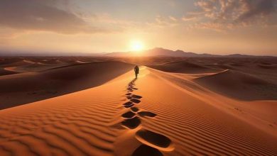 desert