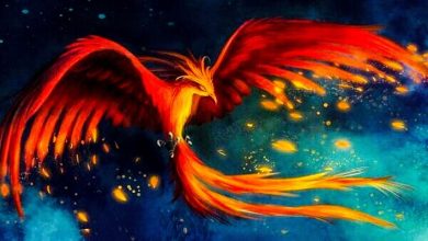 Peygamberlerin Hep Aynı Bölgeden Çıkması 8 anka phoenix