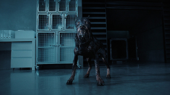Köpeklerin Şeytanın Tükürüğünden Yaratılması 1 devildog