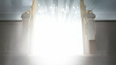 heaven door