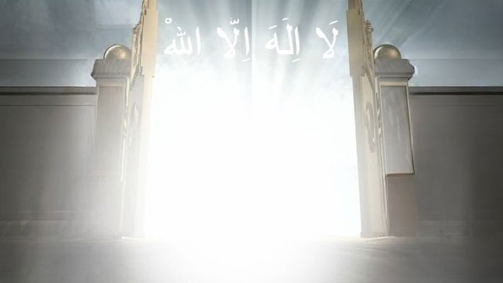 Vücuttan Çıkarılması İstenen Biyolojik Özellikler 1 heaven door