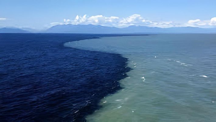 sea2