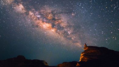 univerce and man