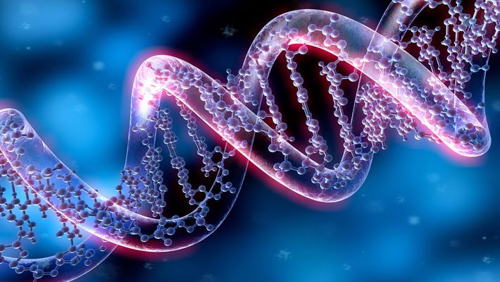 Nesep 1 brightdna