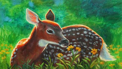 deer 1