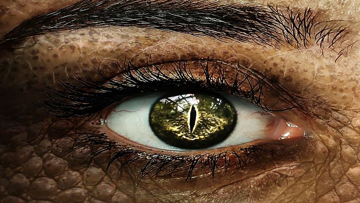 Şeytanın Göz Rengi 1 snakeeye