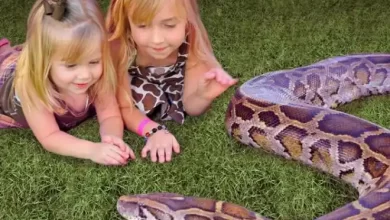 girls with snake