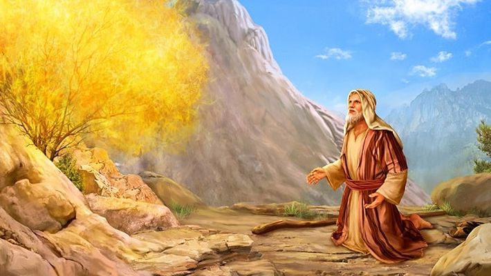 Hz. Musa 1 1 moses burning bush