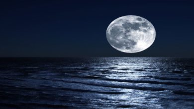 moon sea 2