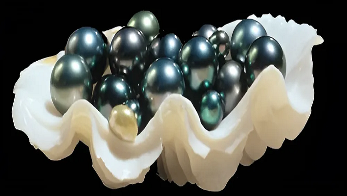 Siyah İnci 1 blackpearl