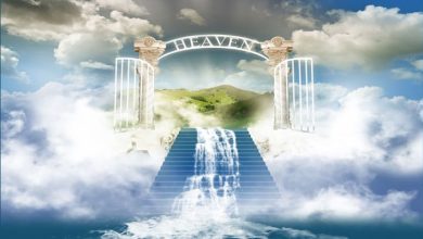 Heavens Gates 1