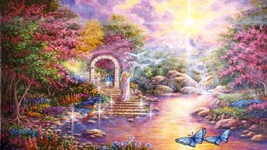 İmanın Özü 9 imanoz