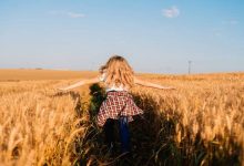 golden wheat